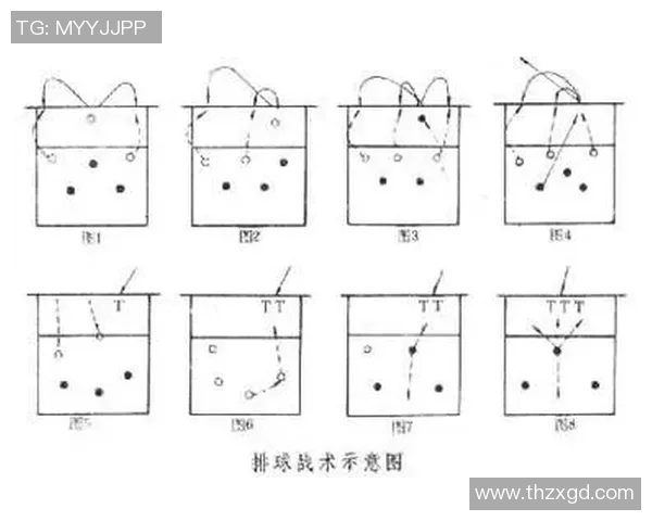 杭州排球队防反体系解析与战术创新探讨 杭州排球队防反体系解析与战术创新探讨