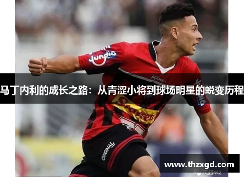 马丁内利的成长之路：从青涩小将到球场明星的蜕变历程