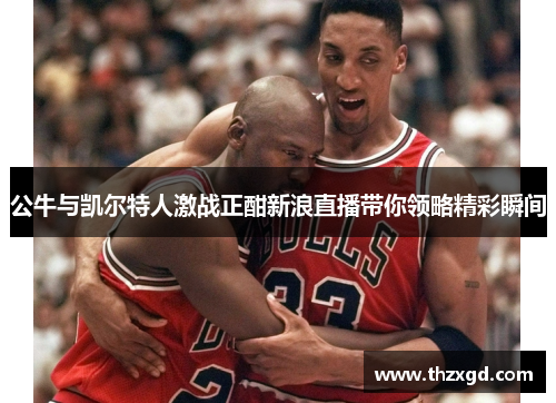 公牛与凯尔特人激战正酣新浪直播带你领略精彩瞬间